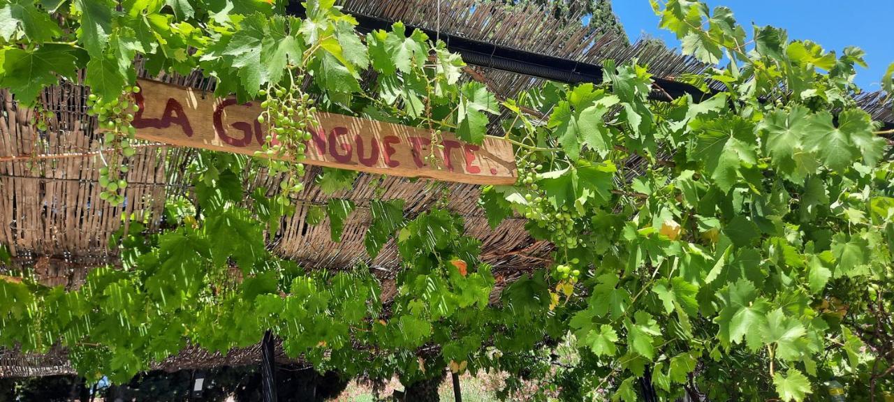 Bed and Breakfast Fenetre Sur Les Alpilles Saint-Martin-de-Crau Zewnętrze zdjęcie