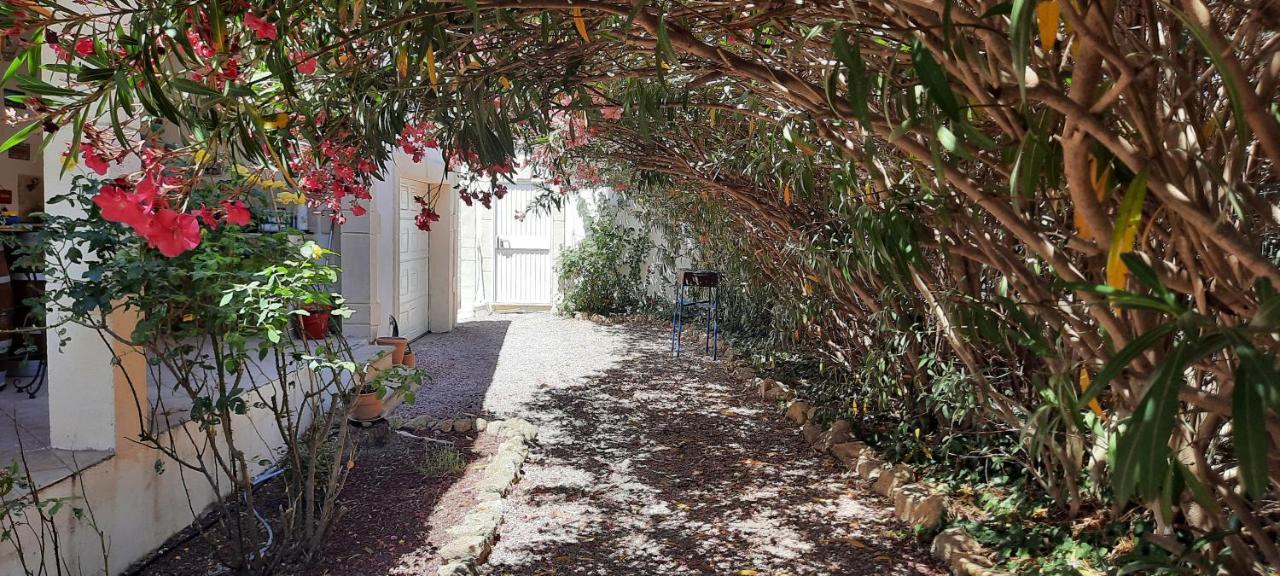 Bed and Breakfast Fenetre Sur Les Alpilles Saint-Martin-de-Crau Zewnętrze zdjęcie